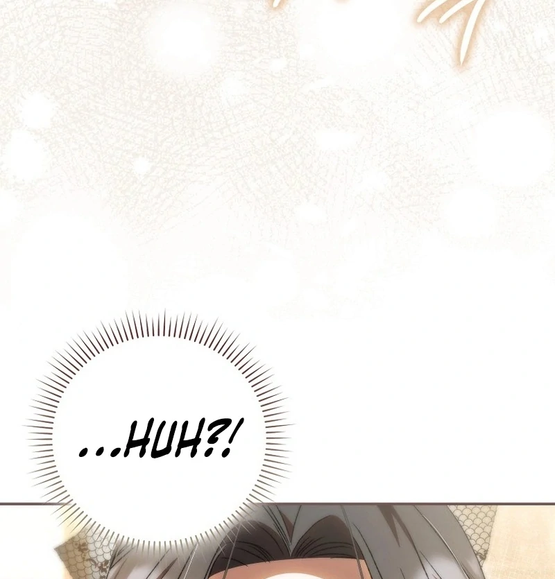 My Husband Is My Ultimate Bias, but I Think He Wants a Divorce Chapter 23 - page 3