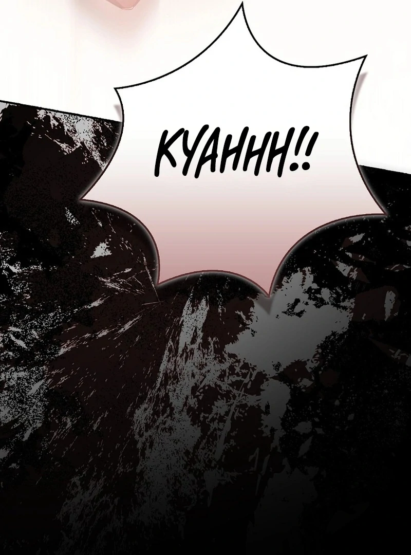 My Husband Is My Ultimate Bias, but I Think He Wants a Divorce Chapter 23 - page 67