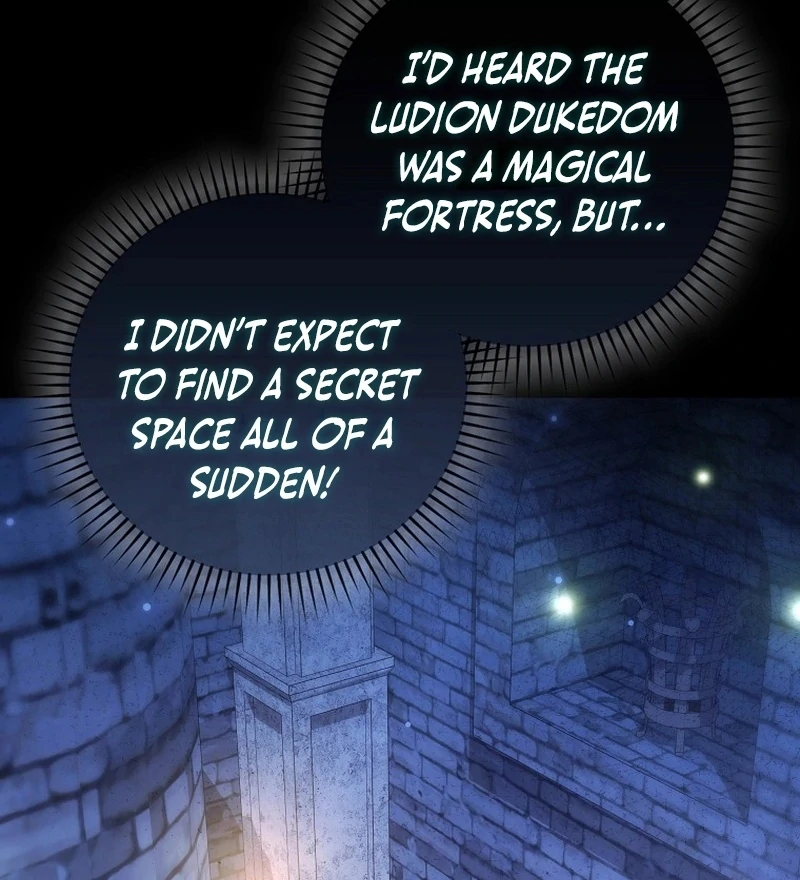My Husband Is My Ultimate Bias, but I Think He Wants a Divorce Chapter 23 - page 8