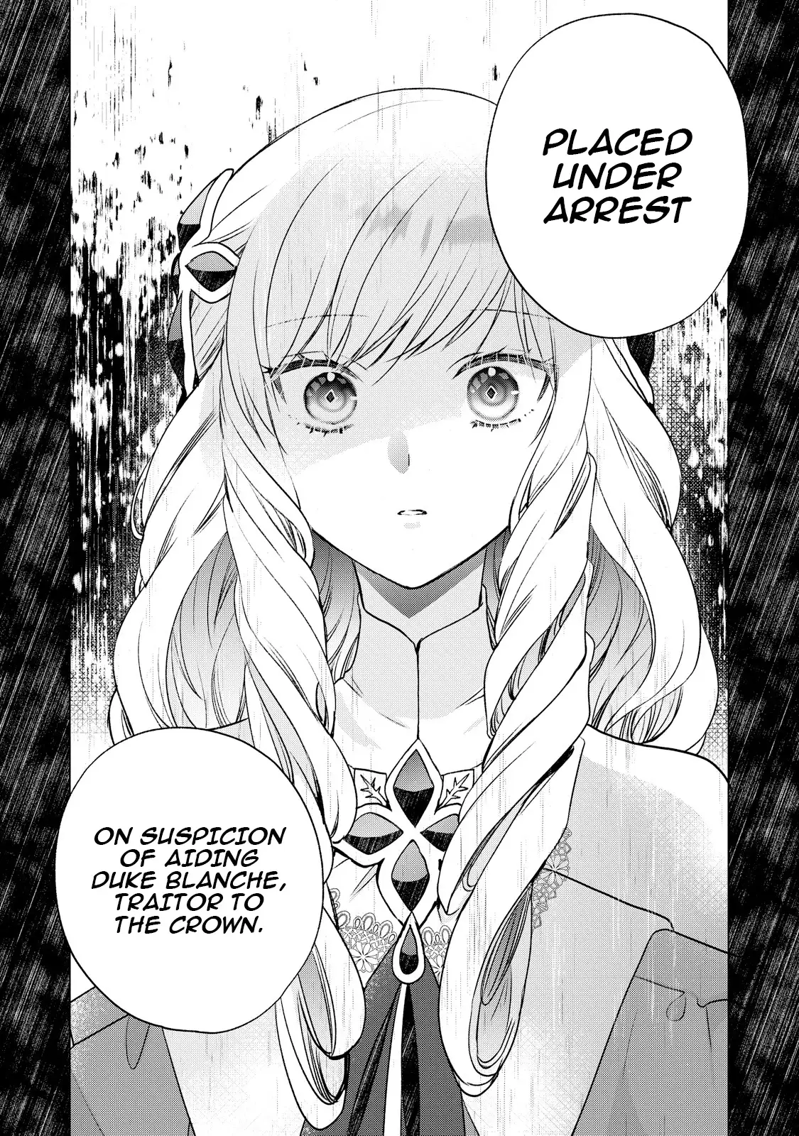 The Knight Commander Who Executed Me Is Now Doting on Me Chapter 4 - page 24