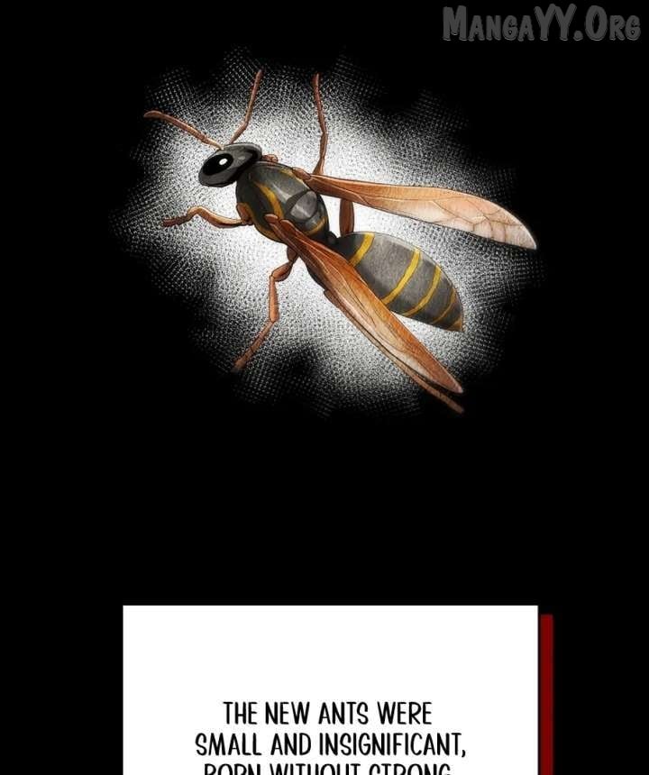 Empire of the Ants Chapter 12 - page 4