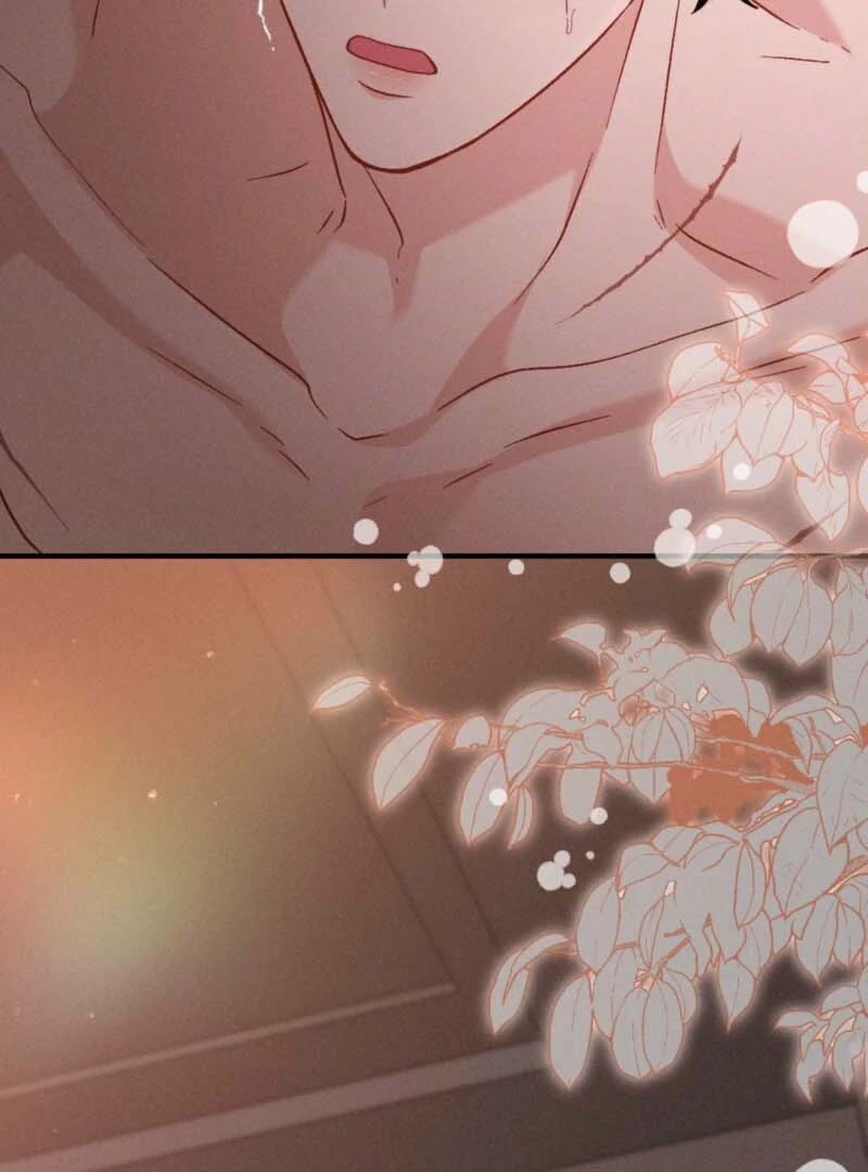 Layers of Night Chapter 11 - page 46