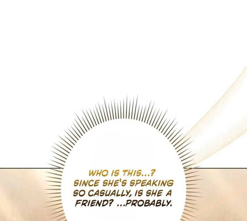 I Was Supposed to Be a Stalker Lady, but Somehow I'm Being Adored Instead Chapter 10 - page 14