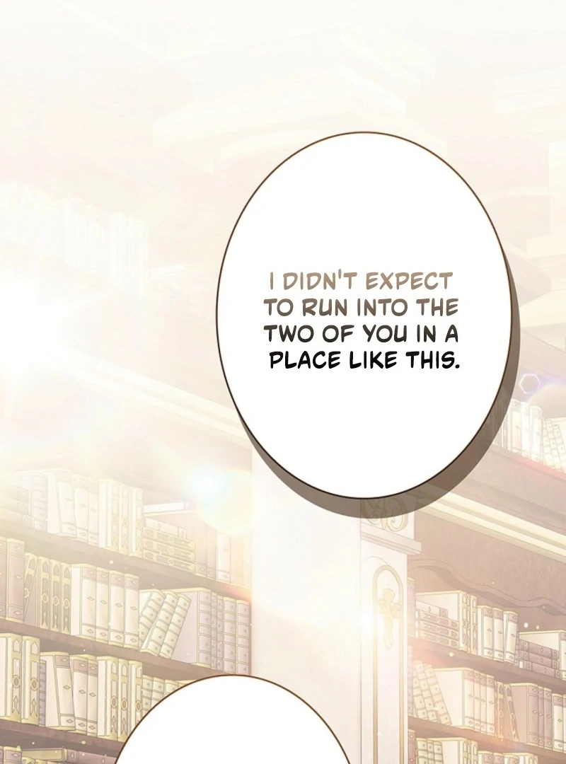 I Was Supposed to Be a Stalker Lady, but Somehow I'm Being Adored Instead Chapter 10 - page 2