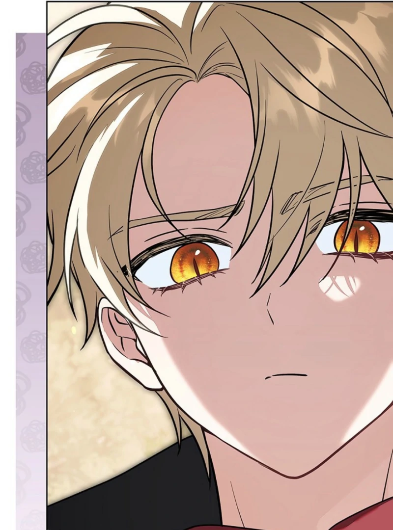 I Was Supposed to Be a Stalker Lady, but Somehow I'm Being Adored Instead Chapter 5 - page 154