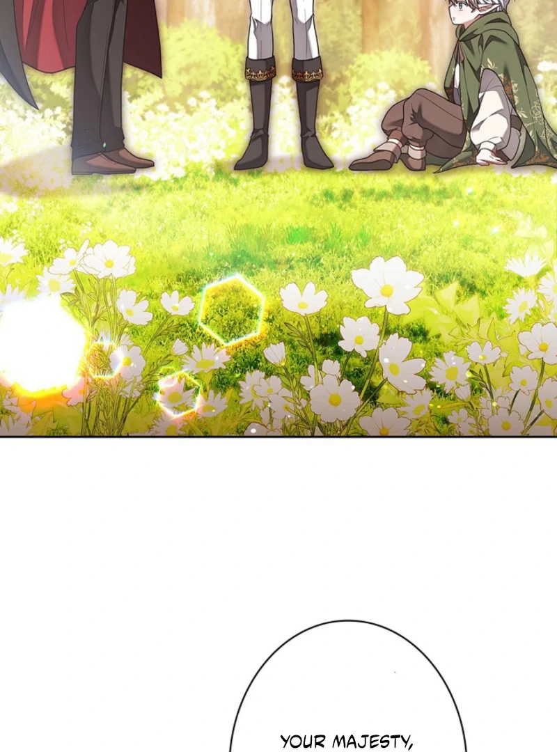 I Was Supposed to Be a Stalker Lady, but Somehow I'm Being Adored Instead Chapter 6 - page 16