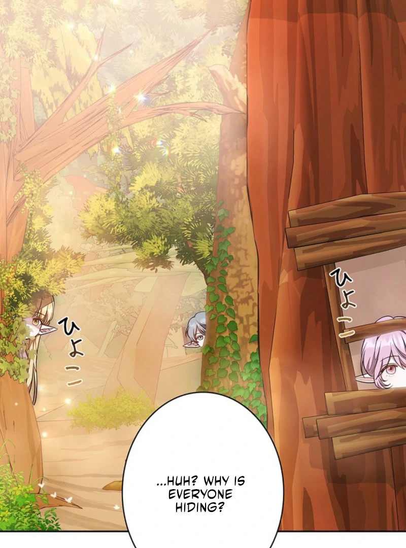 I Was Supposed to Be a Stalker Lady, but Somehow I'm Being Adored Instead Chapter 6 - page 43