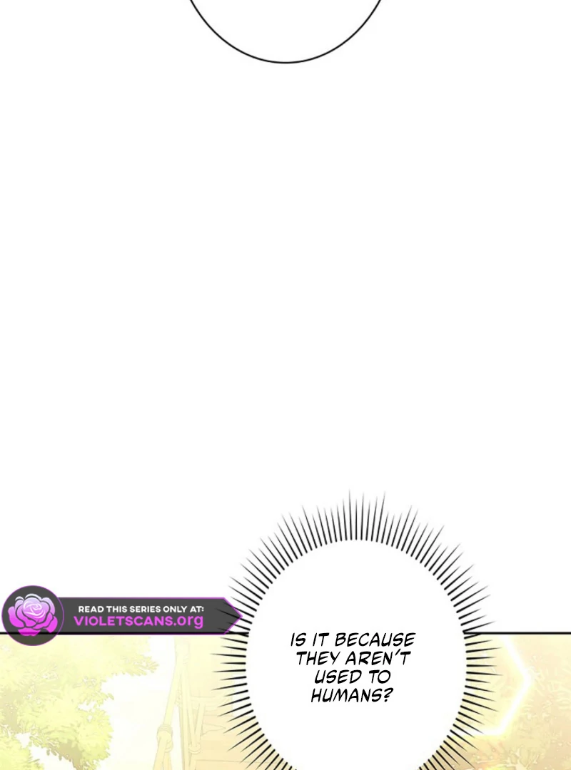 I Was Supposed to Be a Stalker Lady, but Somehow I'm Being Adored Instead Chapter 6 - page 44