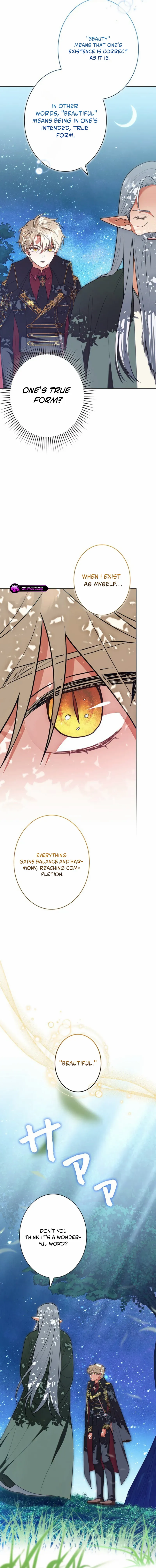 I Was Supposed to Be a Stalker Lady, but Somehow I'm Being Adored Instead Chapter 8 - page 15