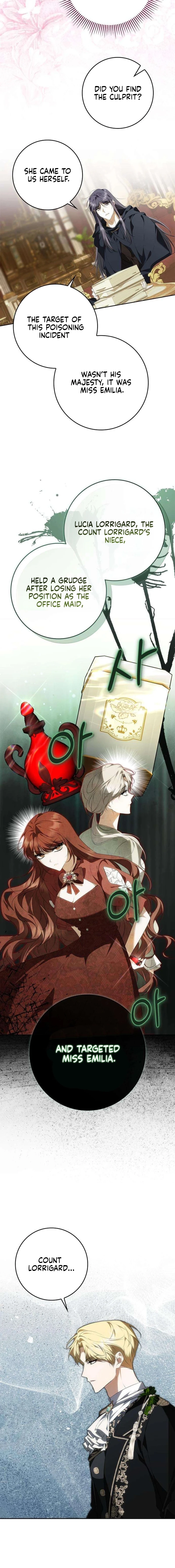 The Emperor Is Annoyed by the Maid Chapter 21 - page 12