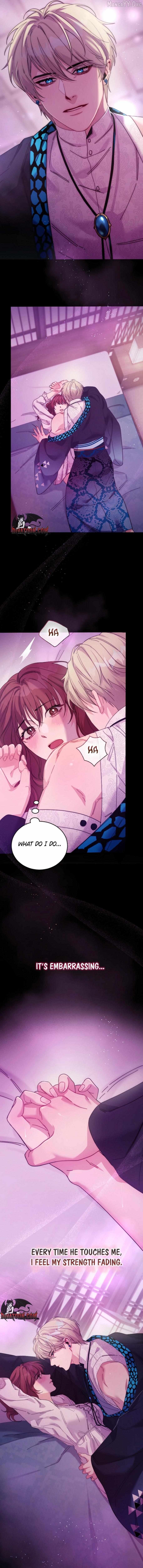 The Dream Pavilion and the Butterfly That Cannot Sleep Chapter 1 - page 4