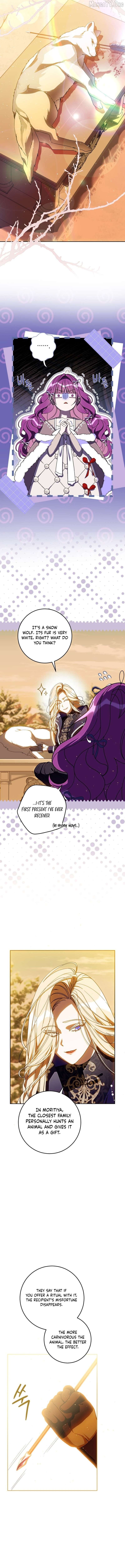 I Am the Evil Wife of a Young Husband Chapter 34 - page 12