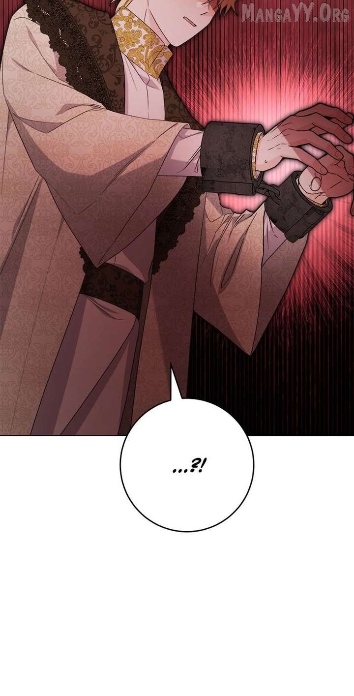 Hiding the Archduke's Humiliating History Chapter 106 - page 28