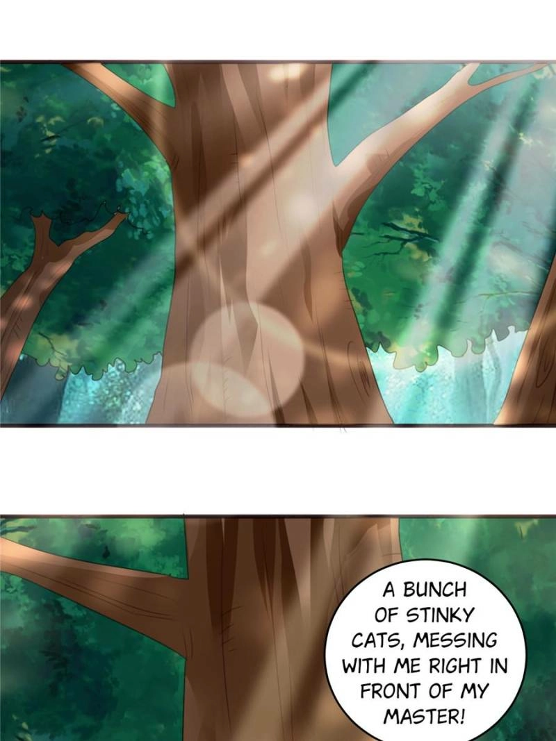 My Harem Depends on Drawing Cards Chapter 33 - page 54