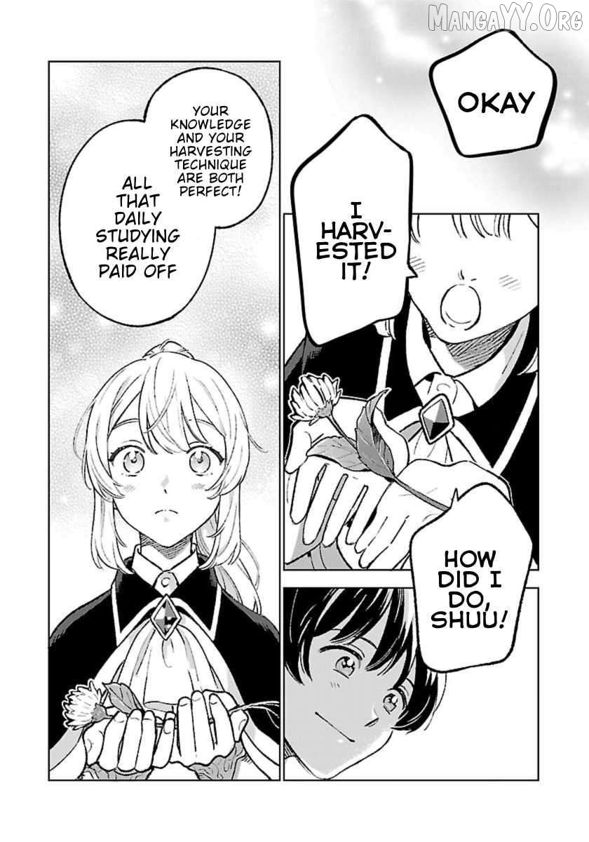 Isekai Nonbiri Sozai Saishu Seikatsu Chapter 29 - page 11