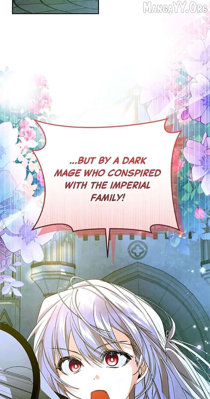 Falling into the Arms of a Mad Villain Chapter 77 - page 2