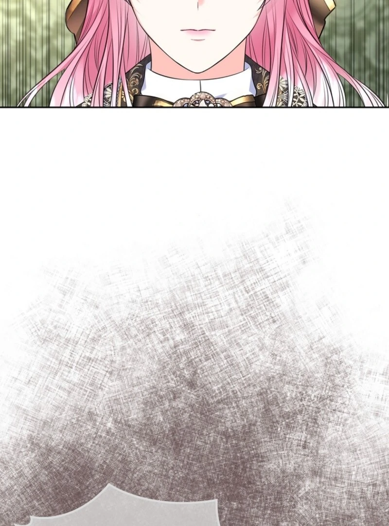 I Will Divorce the Female Lead’s Siscon Brother Chapter 88 - page 47