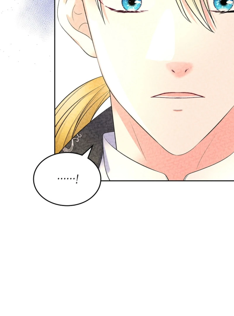 I Will Divorce the Female Lead’s Siscon Brother Chapter 89 - page 103