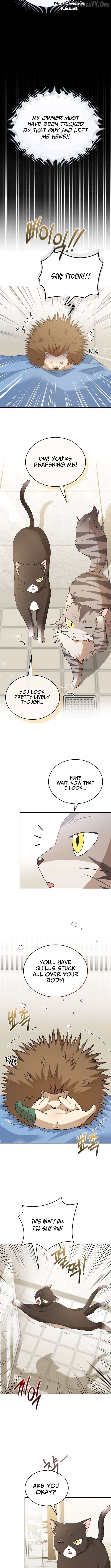 Hello! Veterinarian! Chapter 100 - page 5