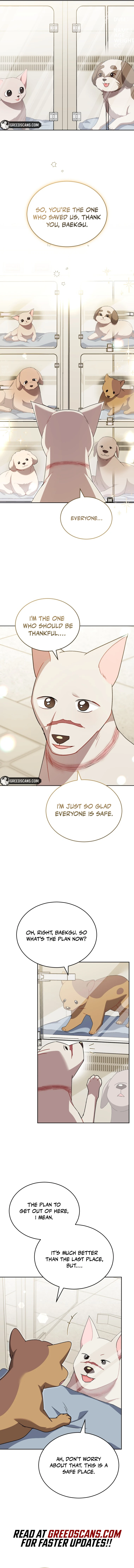 Hello! Veterinarian! Chapter 120 - page 6