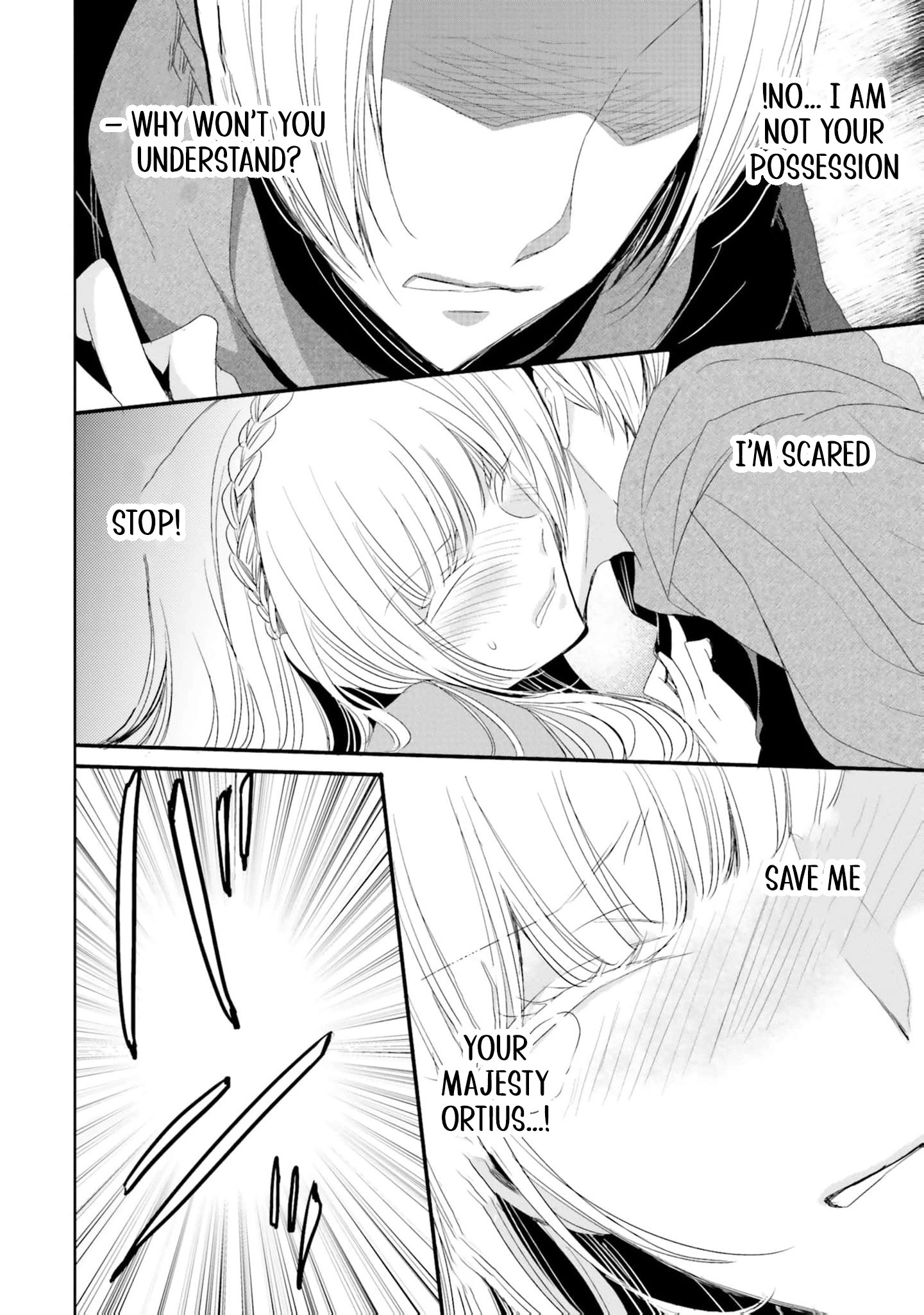 Kokurou Ou to Shirogane no Niehime Chapter 22 - page 19