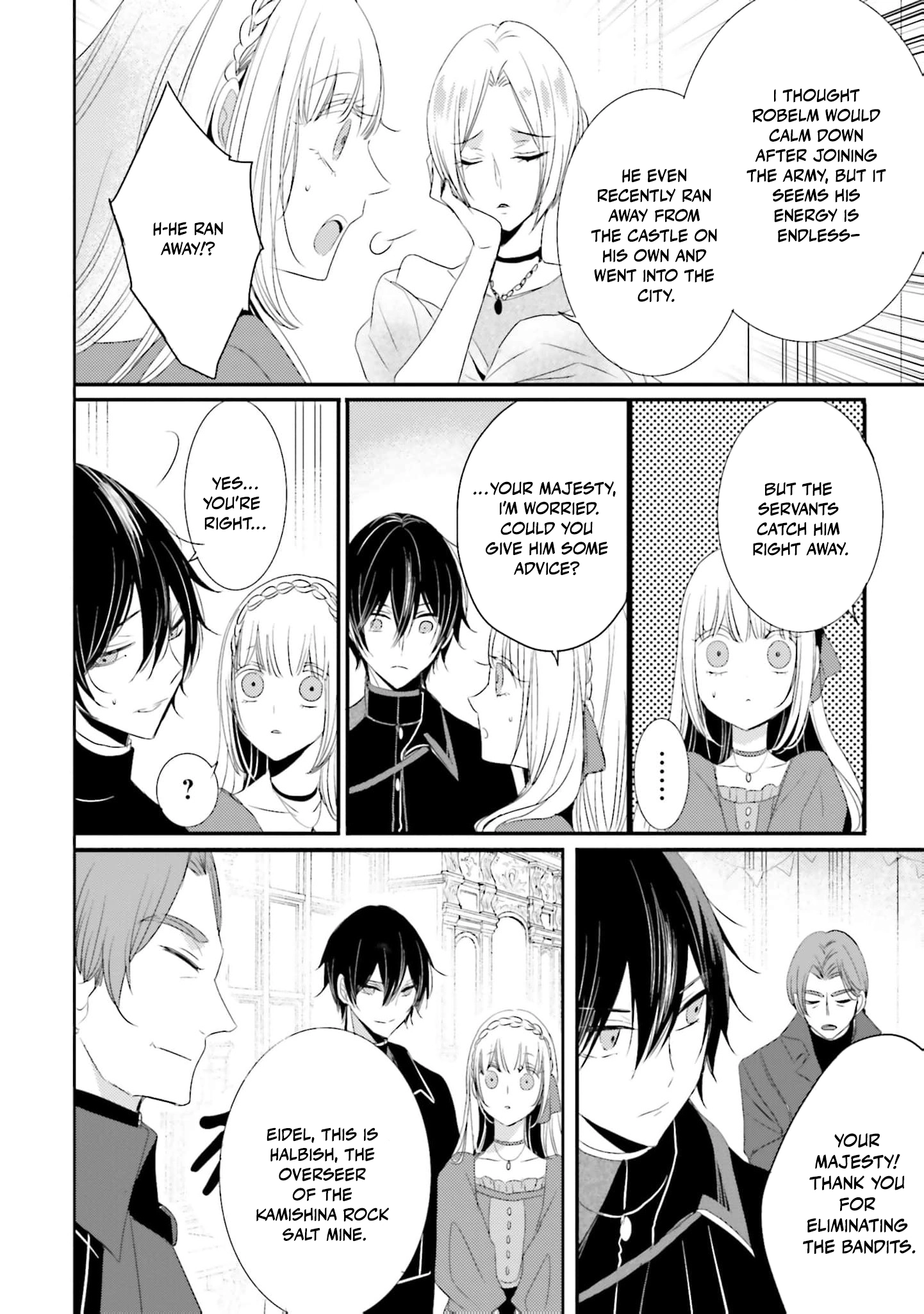 Kokurou Ou to Shirogane no Niehime Chapter 28 - page 13
