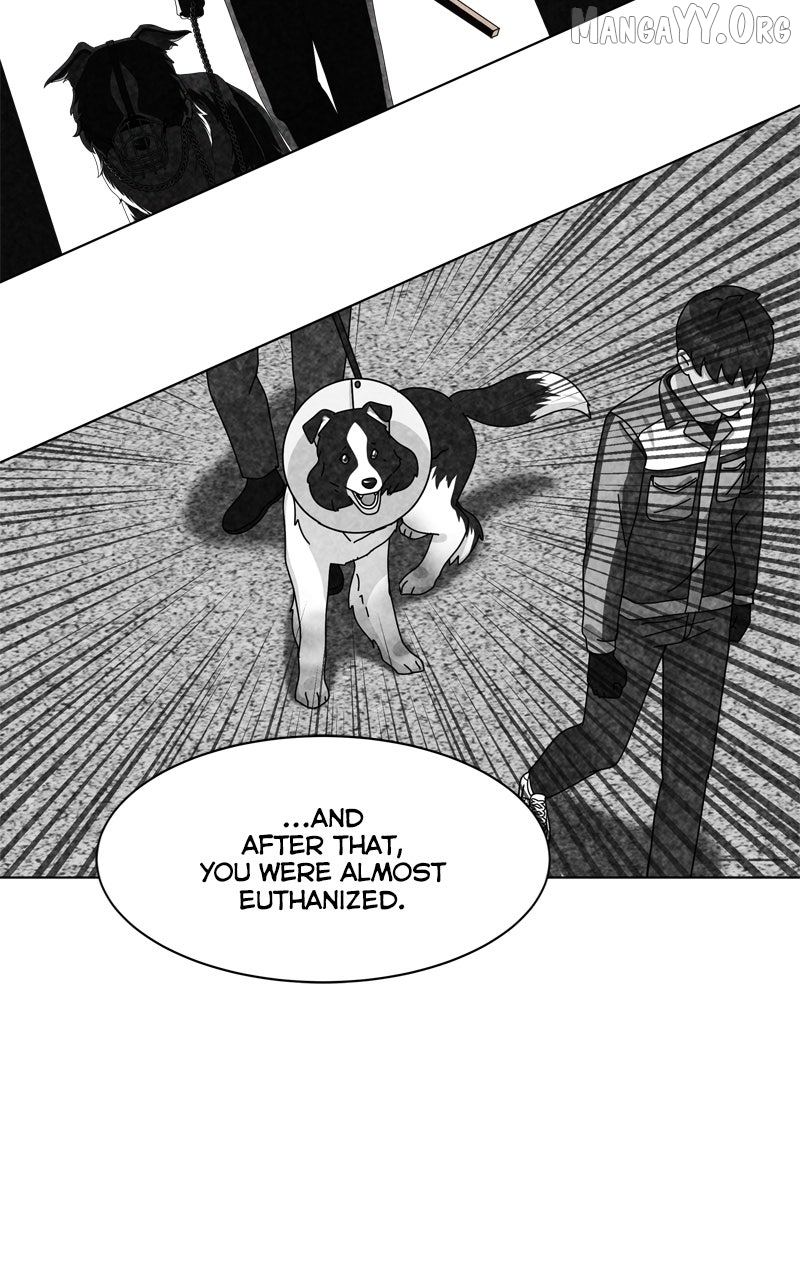 The Dog Diaries Chapter 244 - page 48