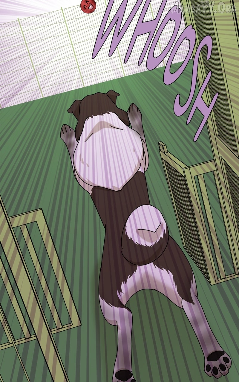 The Dog Diaries Chapter 244 - page 70