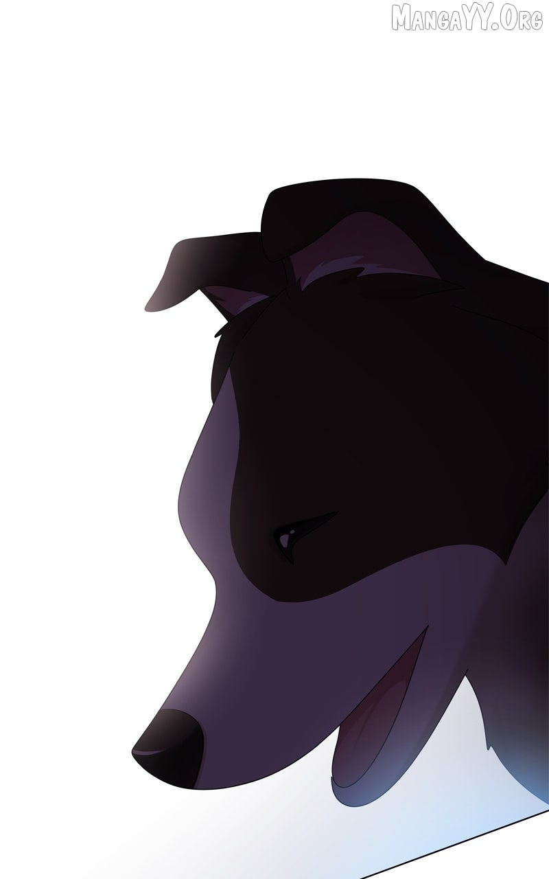 The Dog Diaries Chapter 244 - page 93