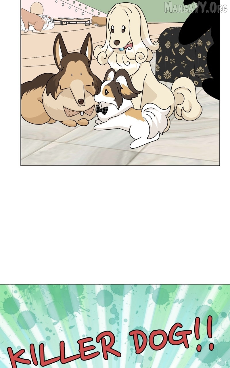 The Dog Diaries Chapter 246 - page 33