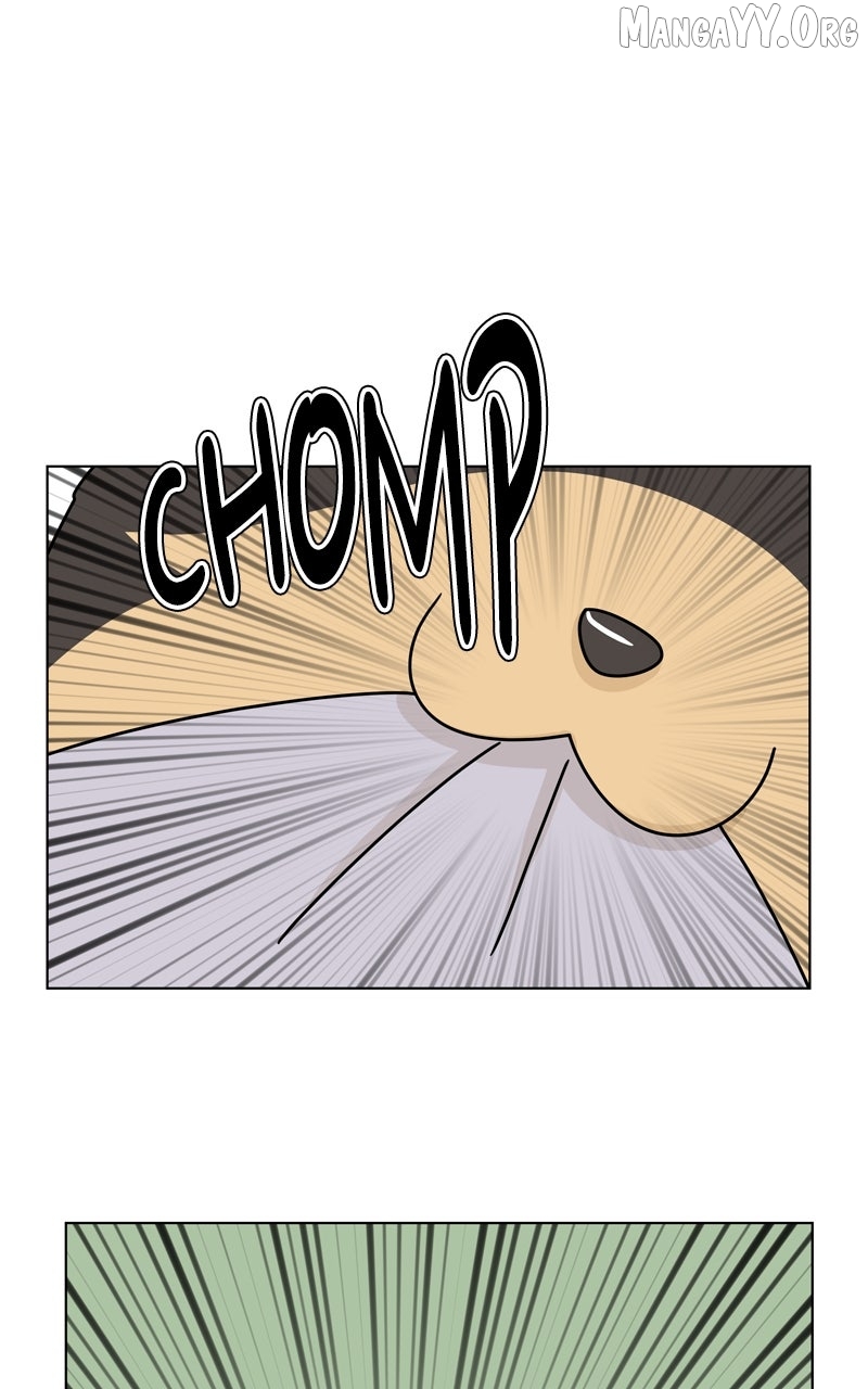 The Dog Diaries Chapter 246 - page 62