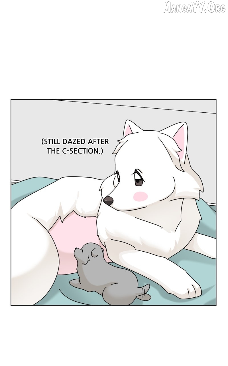 The Dog Diaries Chapter 247 - page 72