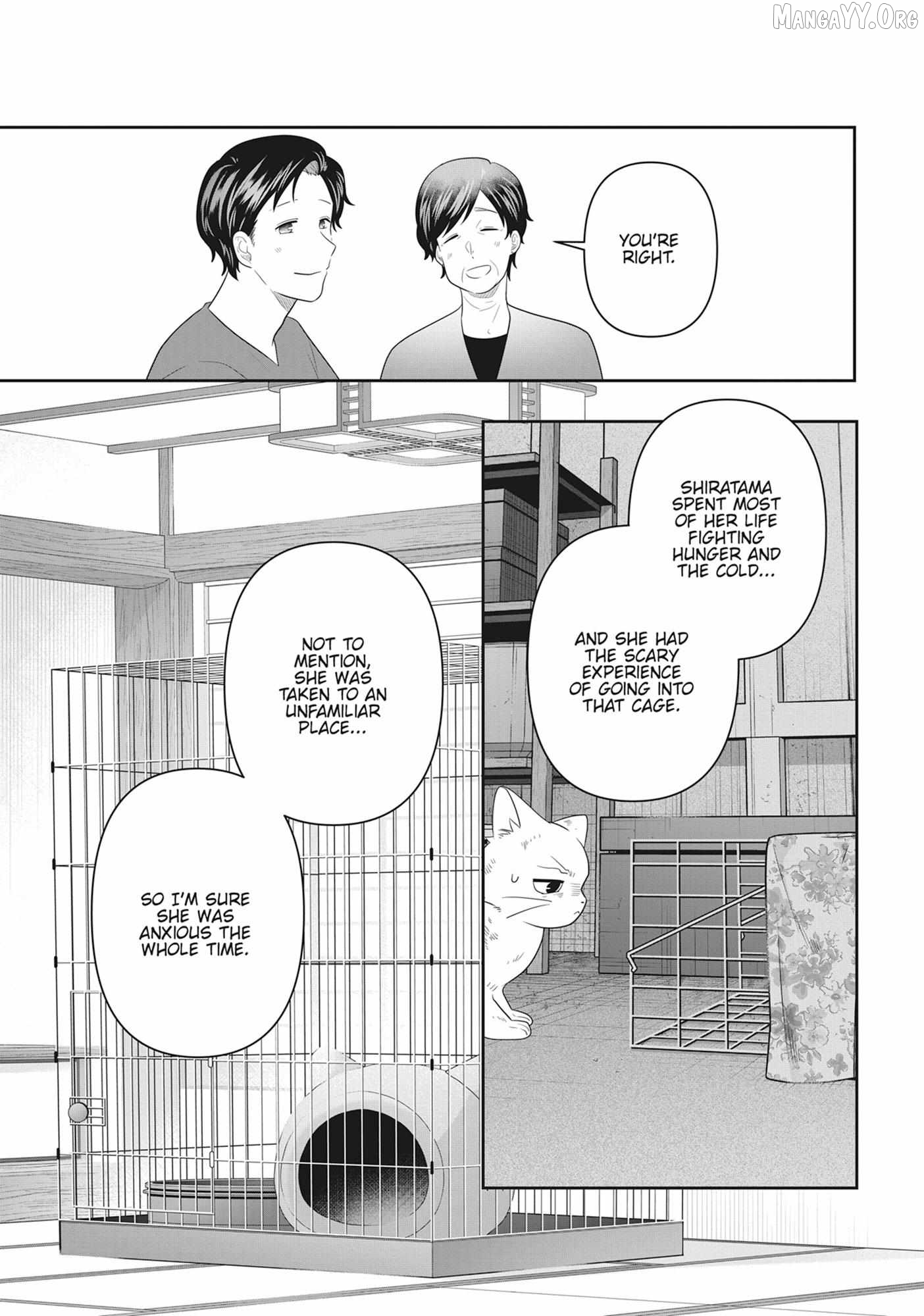 My Kitten Is A Picky Eater Chapter 77 - page 11