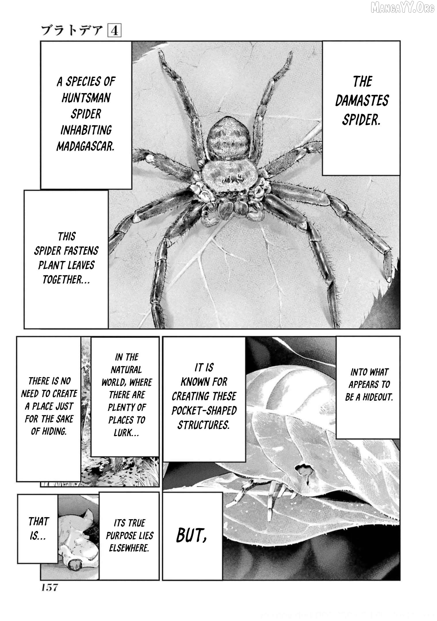 Blattodea - Manga Chapter 18 - page 16