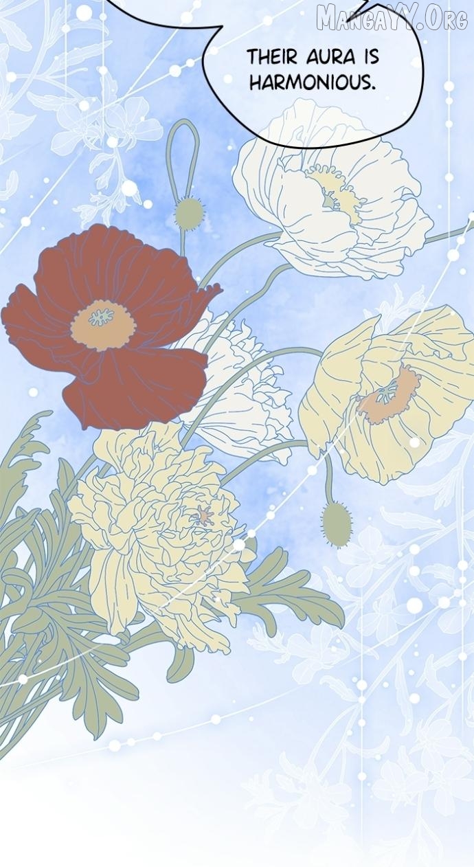 North Snow Love Story Chapter 67 - page 72