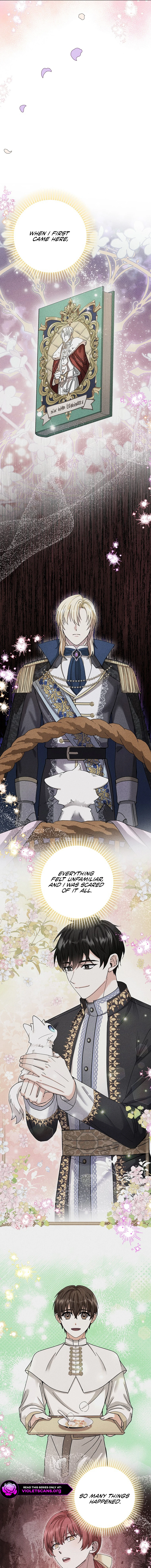 I Became the Emperor’s Cat Chapter 81 - page 4