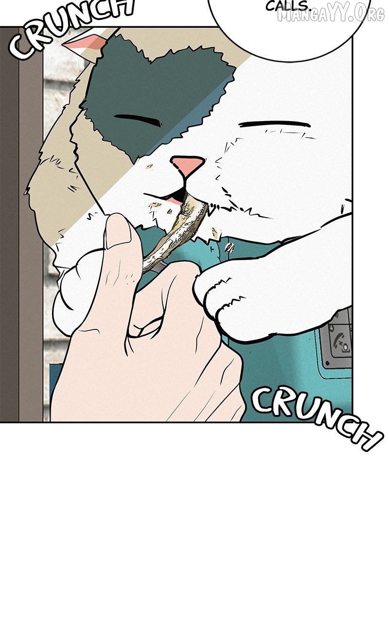 Radiant Rewind Chapter 63 - page 24