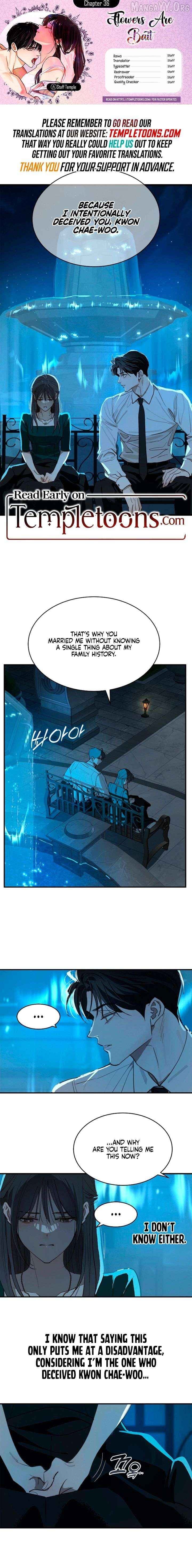 Flowers Are Bait Chapter 36 - page 1
