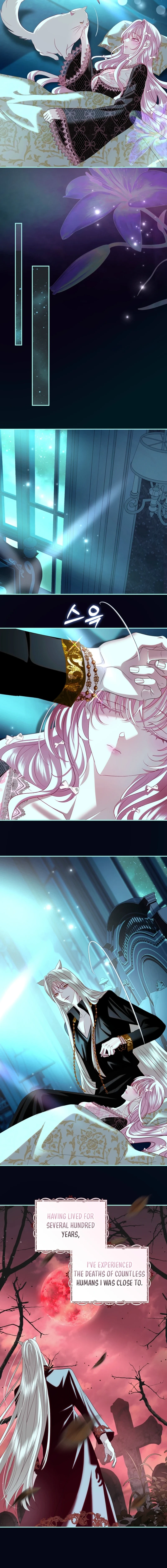 Villain, I’ll Do Everything Except Marriage for You! Chapter 53 - page 13