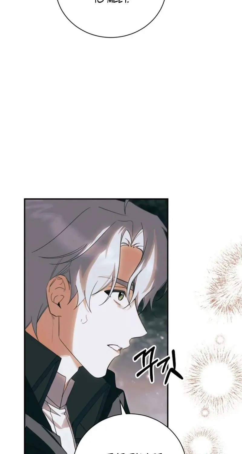 For the Young Villain’s Happy Ending Chapter 43 - page 17