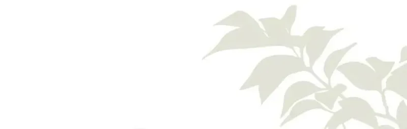 For the Young Villain’s Happy Ending Chapter 43 - page 50