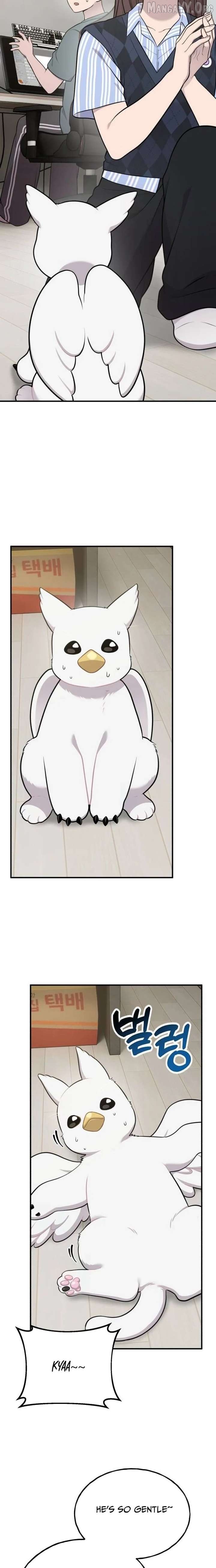 Hello, Griffin the Fluffy Bird! Chapter 31 - page 13