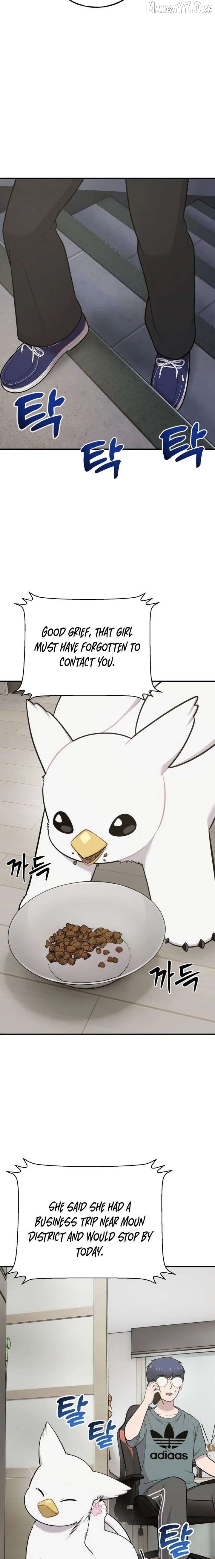 Hello, Griffin the Fluffy Bird! Chapter 31 - page 6