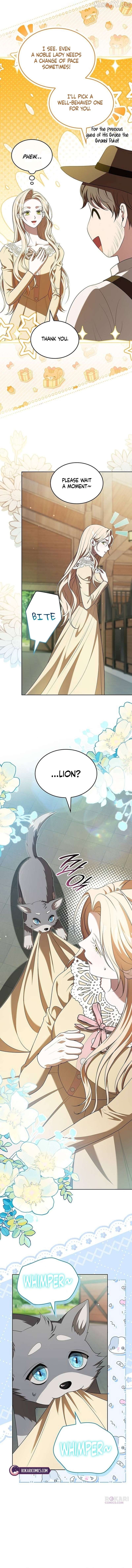 If You Want a Cheeky Sorceress Chapter 35 - page 19