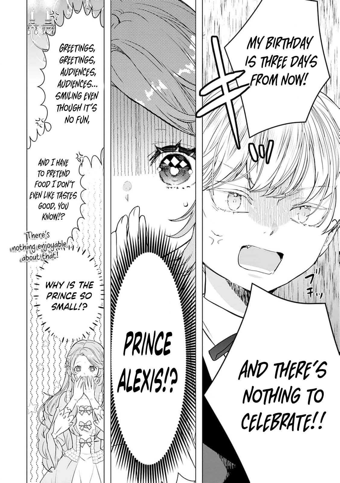 Cinderella’s Sister Became the Prince’s Bride, Living a Slow Life as the Stand-In Princess Chapter 19 - page 9