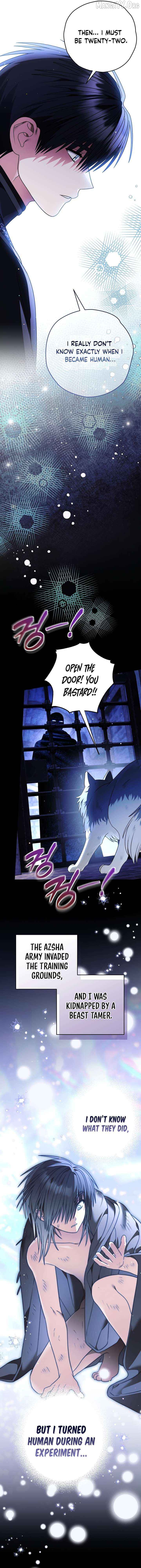 To My Dear Wolf Chapter 35 - page 12