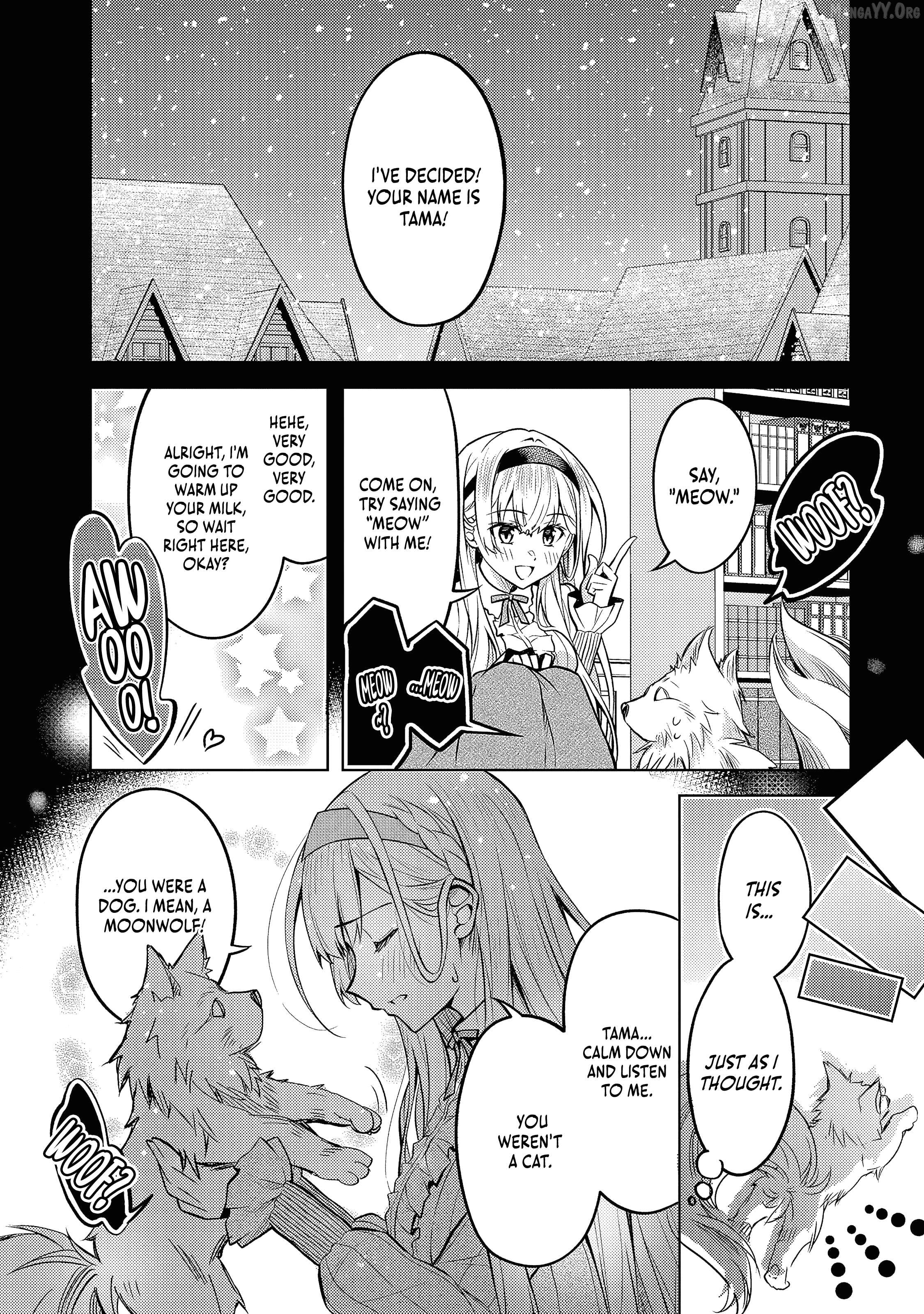 Da n Zai Sareta Ten Sei Seijō Wa, Aku Ya Kurei Ji Unomichiwoiku! Chapter 4.1 - page 13