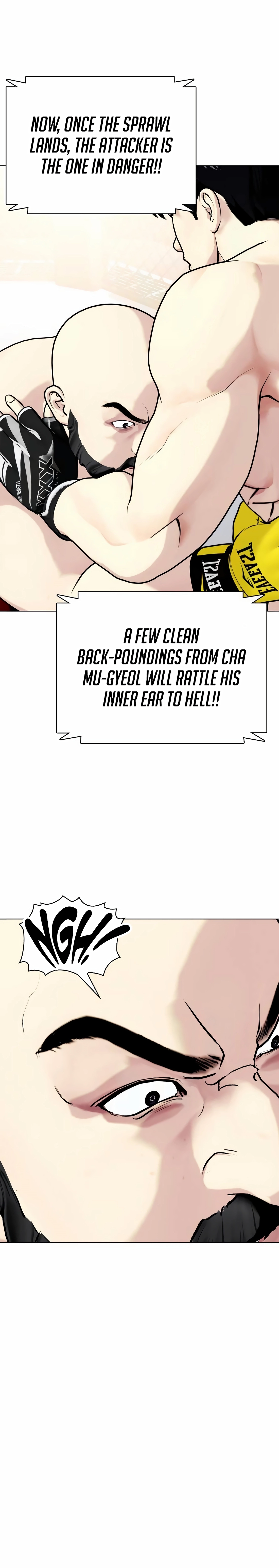 The Outcast Is Too Good at Martial Arts Chapter 147 - page 25