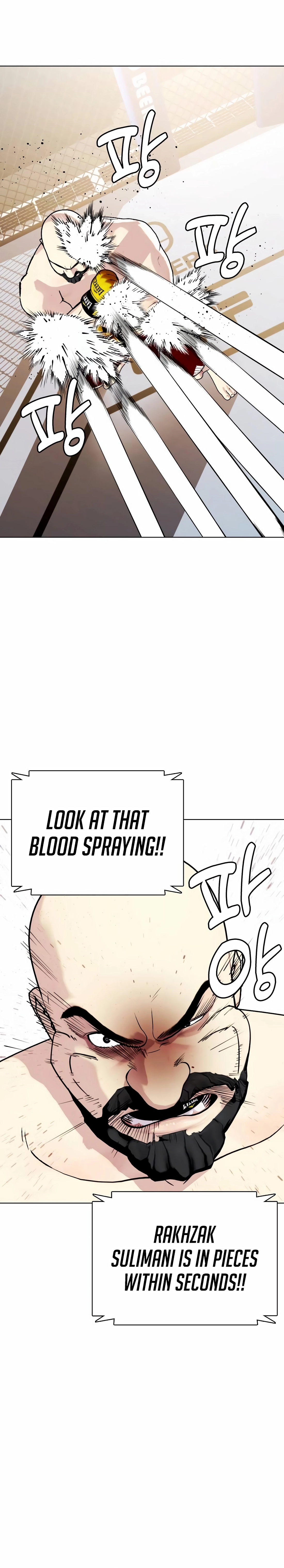 The Outcast Is Too Good at Martial Arts Chapter 147 - page 38