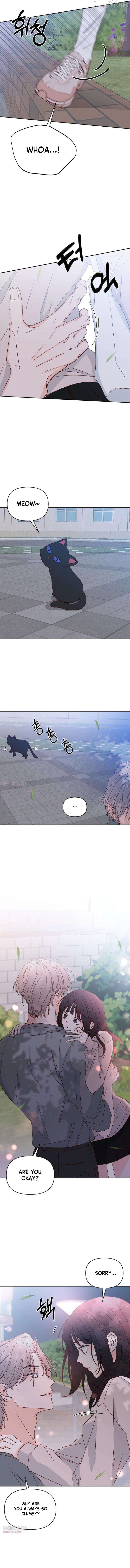 My Meddler in Love Chapter 17 - page 11
